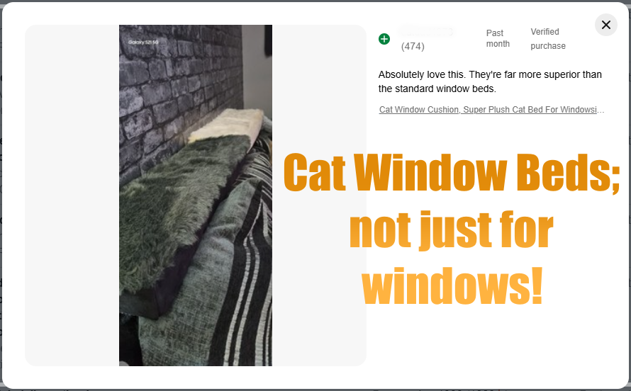 petnhome's tweet photo. One of our lovely customers has shown us our cat window beds along the top of their sofa - what a fabulous  idea!! Very lucky cats indeed 🐾

https://t.co/0Ygx8EDpuB

#MHHSBD #cats #catbed #catwindowbed #CatsOfX https://t.co/kTv1AybrRo