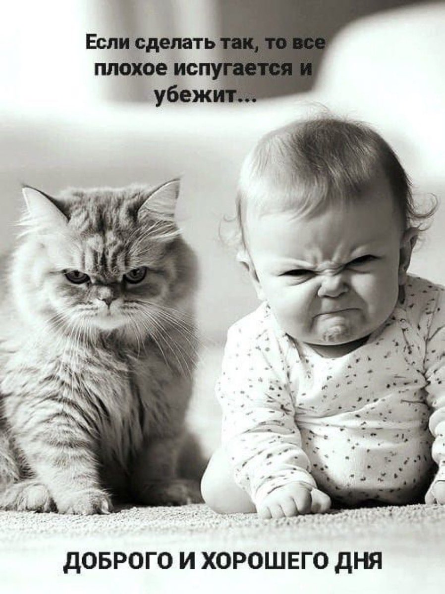 Извинити, заморозили акк этот новый, могла только репостить. Ни закладки, ни лайкать, не отвечать, ни подписываться…