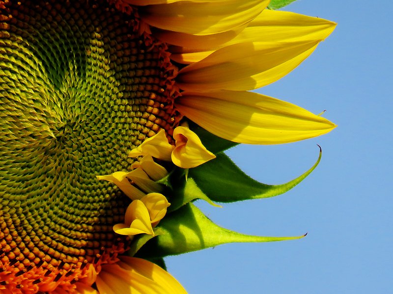 Das Glück des Lebens 
hängt von der Beschaffenheit 
deiner Gedanken ab.“ 

Marc Aurel