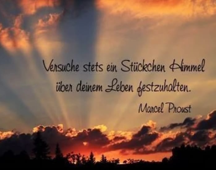 Gisela Fischer (@giselafisc1665) on Twitter photo 