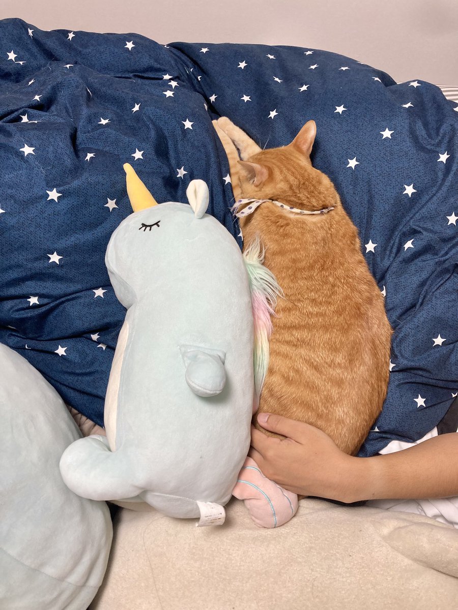 すしたろう Amazon | 永谷園 すし太郎4人前 | Nagatanien | すしの素 通販