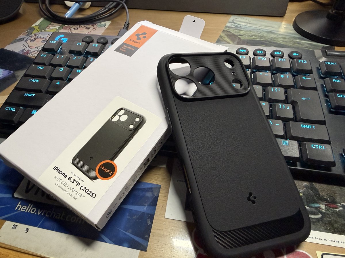 ケースだけさっさと来た