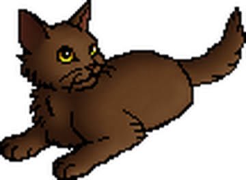 HAITUS - Warriors Character Of The Day tweet media