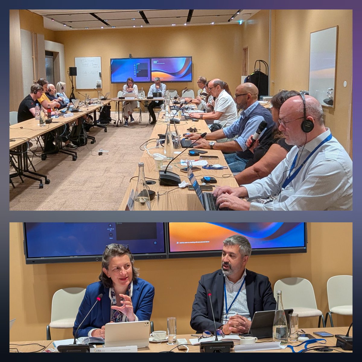 Pascale Rauline Secretary of the #AXAEWC opened the Secretariat meeting in Paris