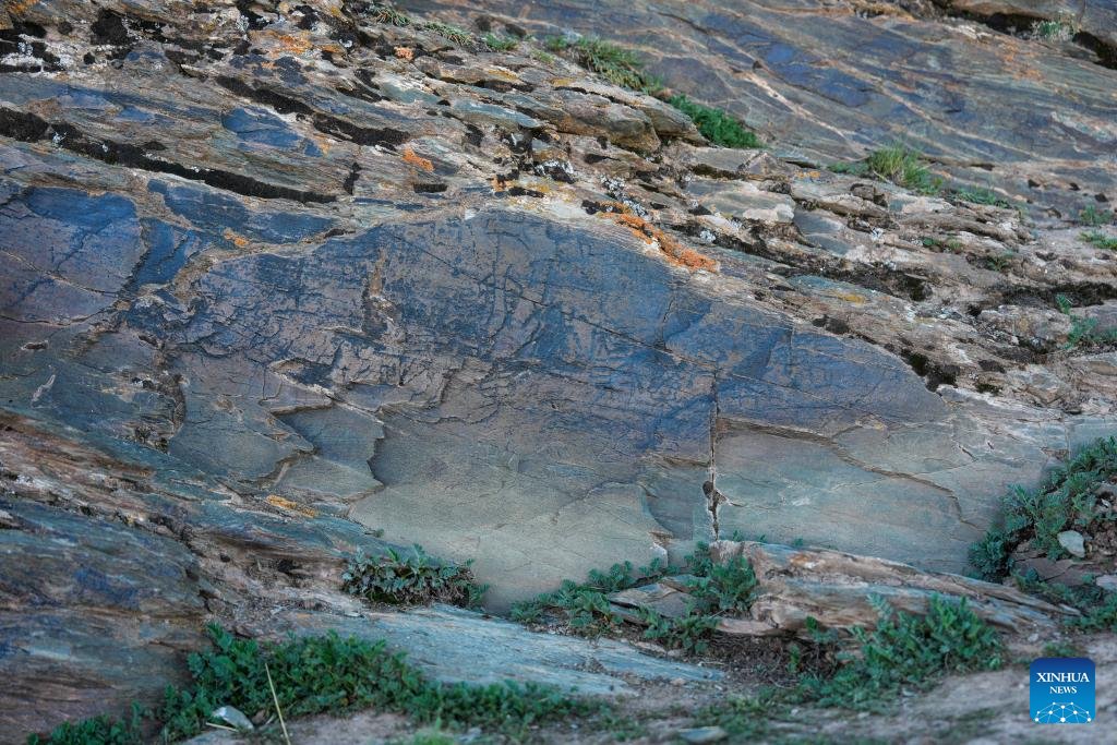 A Qin Dynasty (221—207 BC) engraved stone has been discovered on