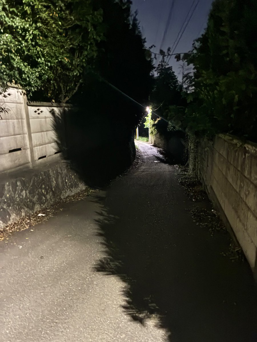 入った瞬間後ろから怪異に襲われるタイプの路地