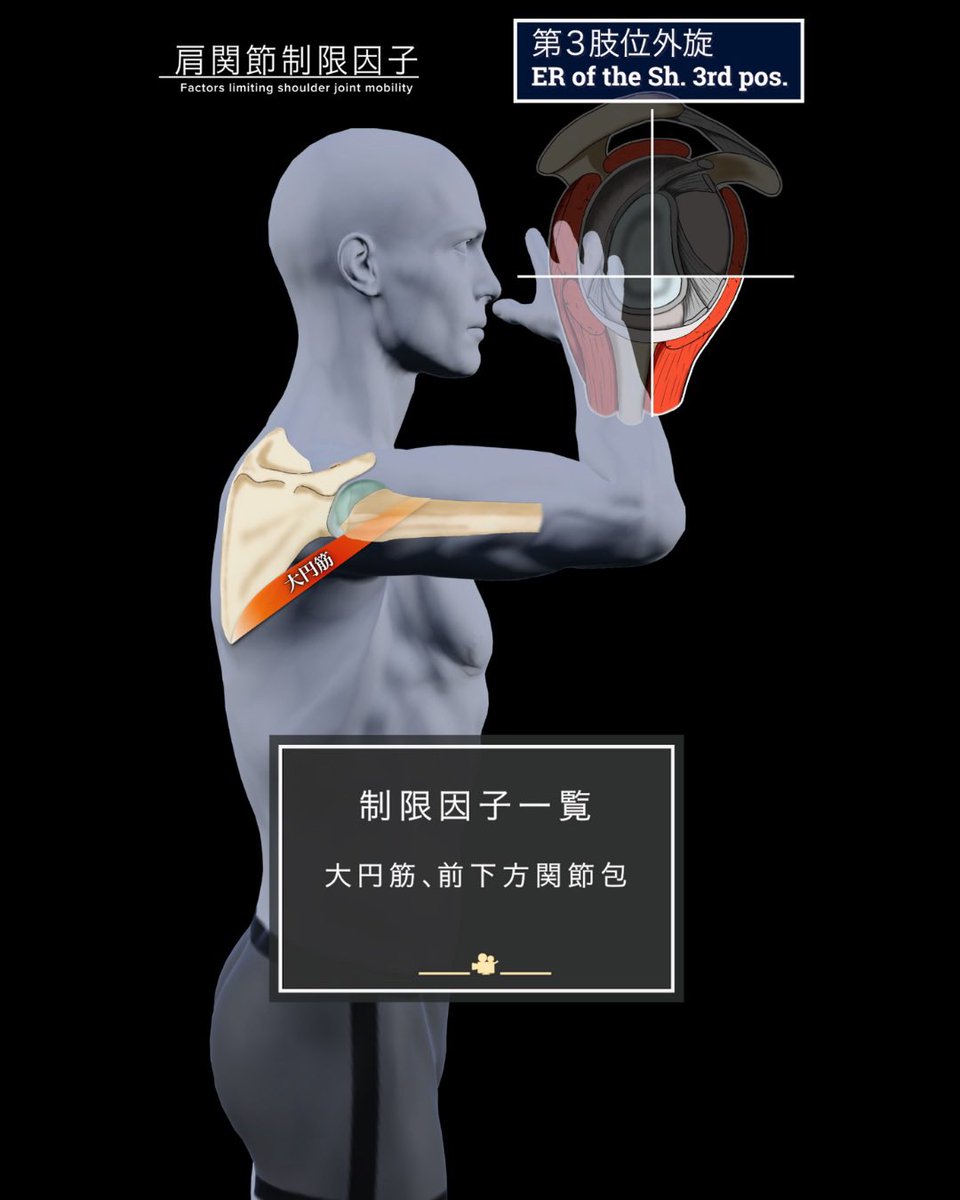 理学療法士の臨床と発信を支援するコミュニティ『forPT』 tweet media
