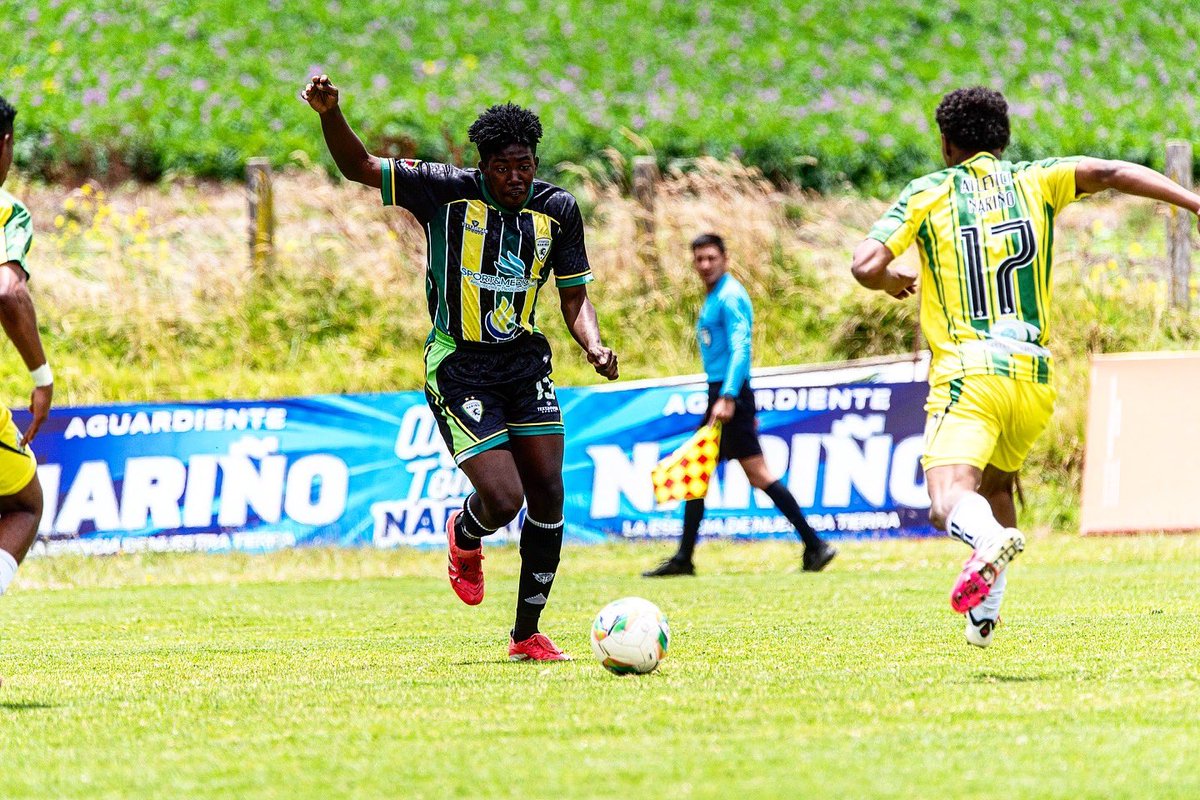 LEONES DE NARIÑO tweet media