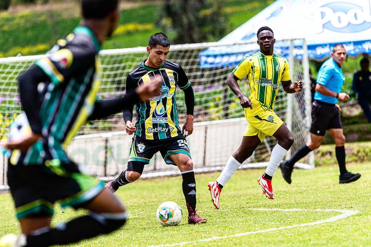 LEONES DE NARIÑO tweet media