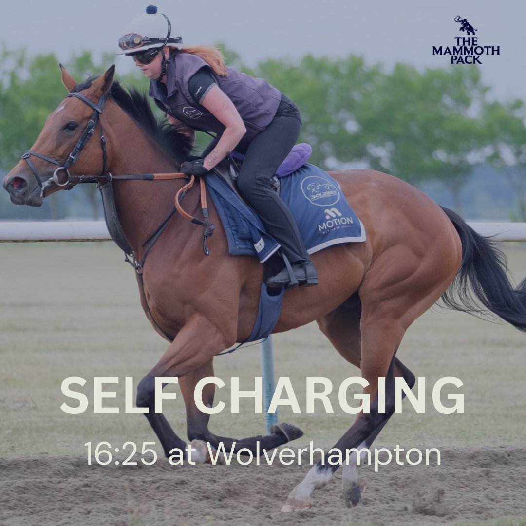 🚨Confirmed runner 🐎

Self Charging lines up at @wolvesraces today in cheekpieces for the first time.

We're hoping that might trigger an improvement for her. 

<a href="/JackJonesRacing/">Jack Jones Racing</a>
 #horseracing #flatracing #racingsyndicate
