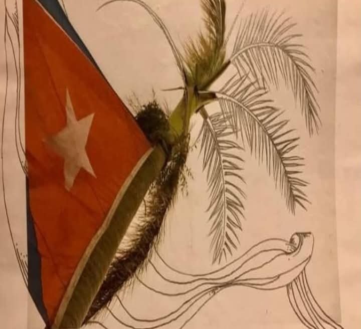 𝕸𝖆𝖗𝖇𝖊 tweet media