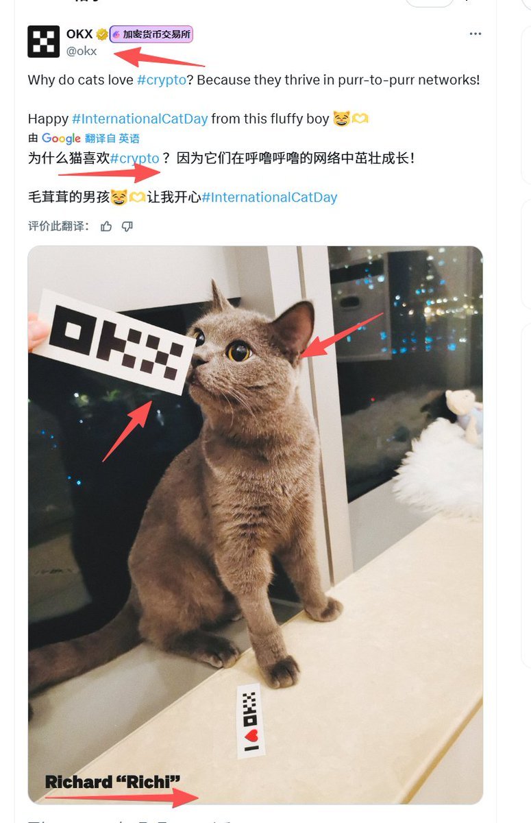 OKX这个猫太顶尖了
叙事：
1 OKX最正宗的官方，580W粉丝
2 文案带了CRYPTO,加密和猫的文案
上次马斯克的波塞冬带了加密，飙到了3M
3 图片里同时出现猫和OKX
4 而且 图片里面带了名字
0x98b770d3d0ada5209e07f8bf5ef643d9e72f8b78