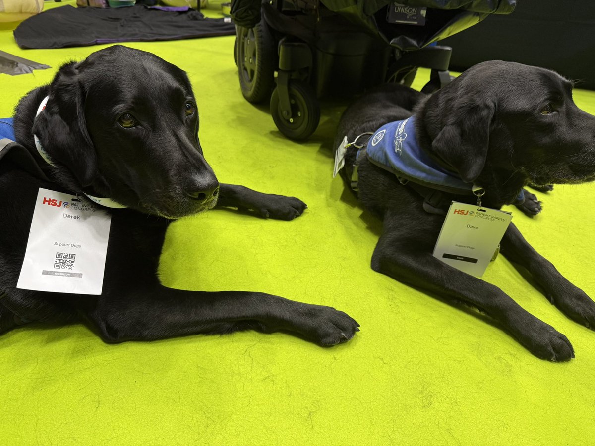 Vanessa Williams tweet media