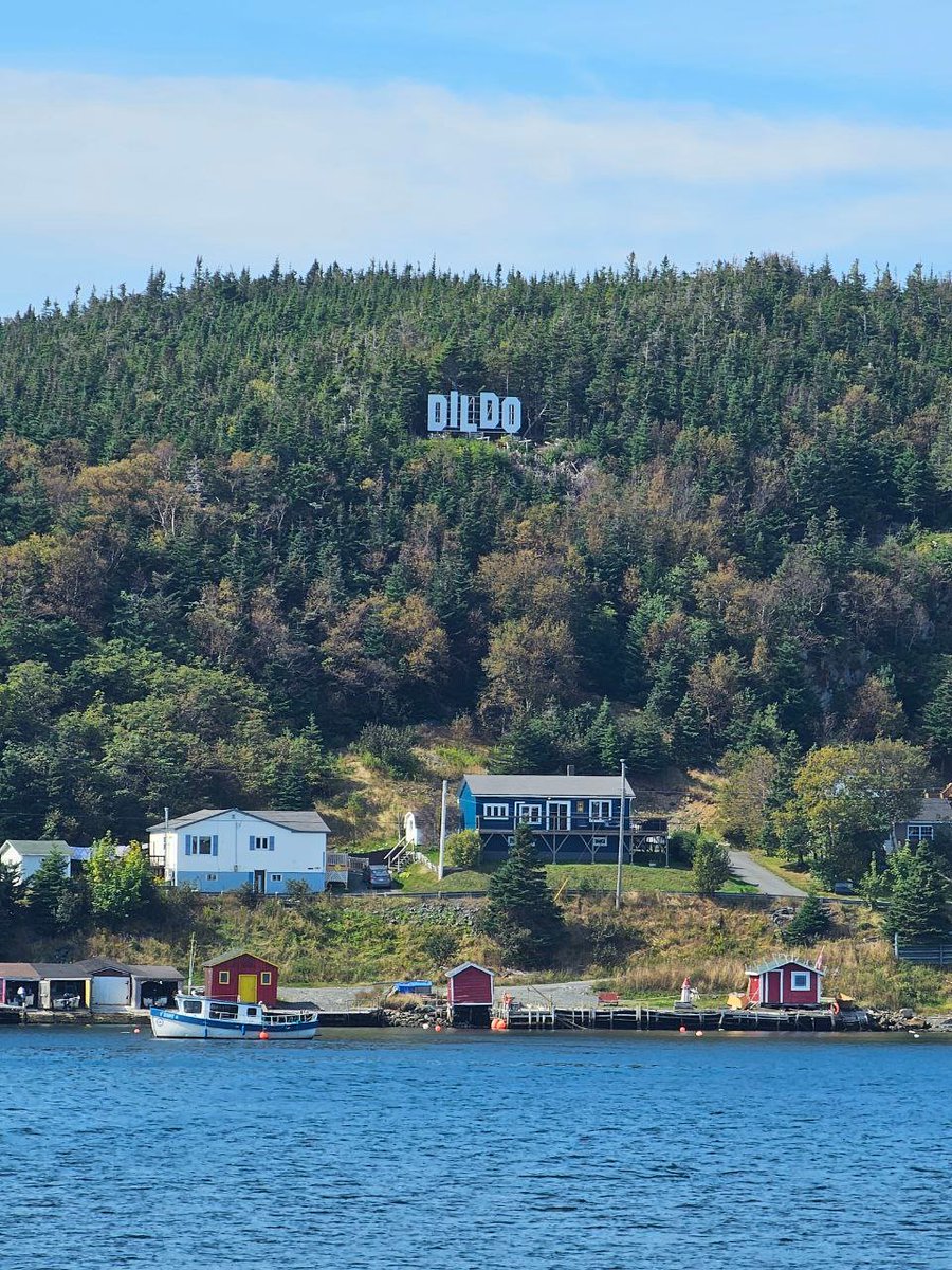 Green Dild0 Coin tweet media