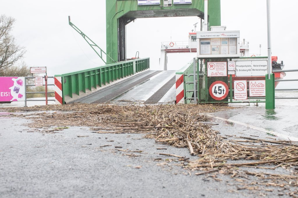 Auch heute sort das Sturmtief #Zack für ordentlich Wind - Fähre Wischhafen-Glückstadt aufgrund von #Hochwasser eingestellt