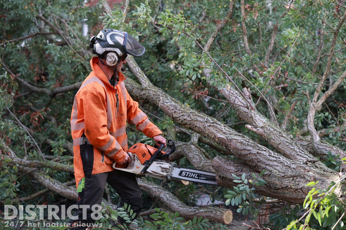 RedactieD8's tweet image. Een gespecialiseerd bedrijf is vanochtend ter plaatse gekomen in de #Warmoezierstraat in #Delfgauw om de boom vakkundig te verwijderen. Dat is inmiddels gelukt, de weg is weer vrij. De rolstoelbus heeft grote schade opgelopen.