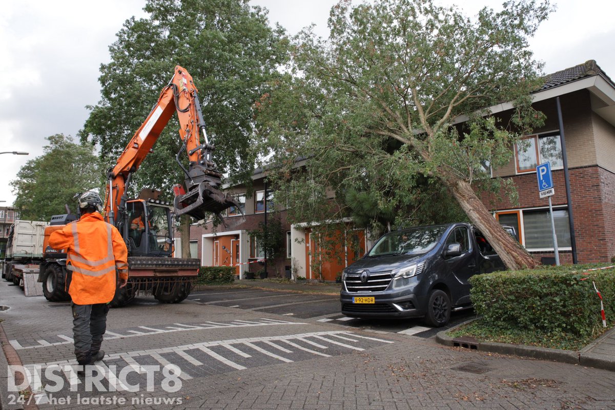 RedactieD8's tweet image. Een gespecialiseerd bedrijf is vanochtend ter plaatse gekomen in de #Warmoezierstraat in #Delfgauw om de boom vakkundig te verwijderen. Dat is inmiddels gelukt, de weg is weer vrij. De rolstoelbus heeft grote schade opgelopen.