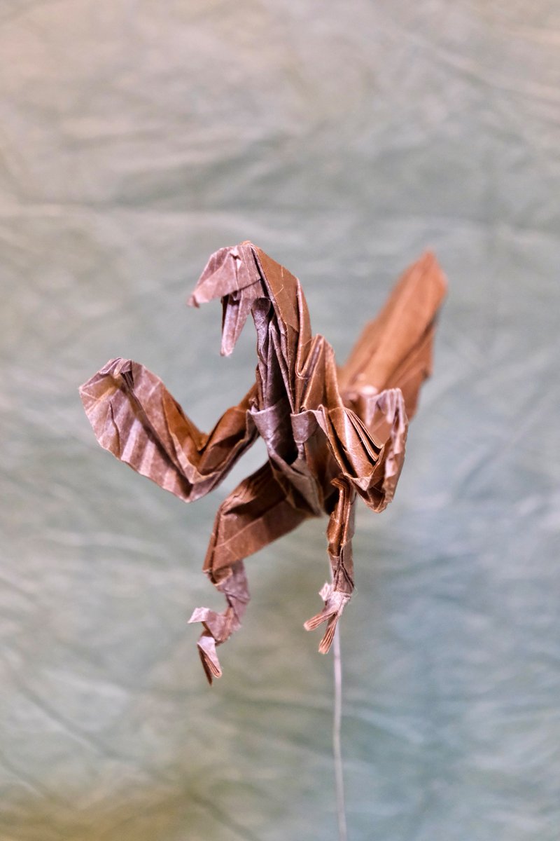 「ヴェロキラプトル」
創作　<a href="/origami_maimai/">今井雄大（折り紙マイマイ）</a> 
折り手　でぃのりがみ

グラシン紙 21cmより
#折り紙　#origami