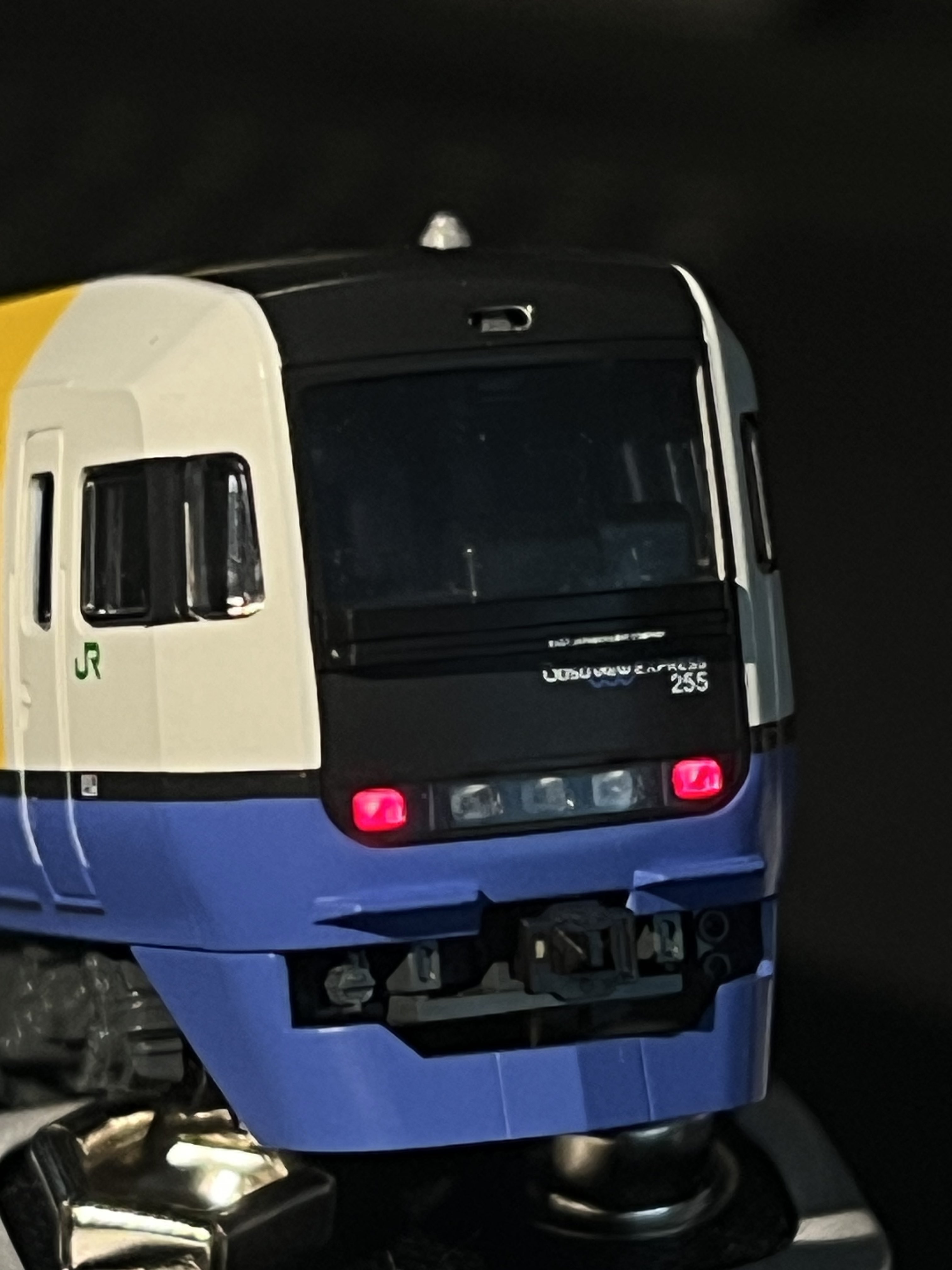 ムササビ様 ムササビ 原寸大頭骨レプリカ Japanese giant flying squirrel