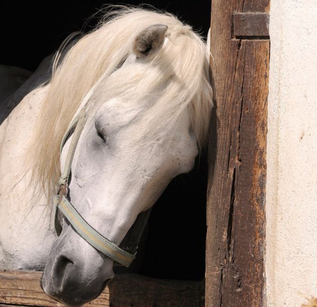 Perlu220's tweet image. "التلاعب النفسي هو أن يُحمّلوك ذنب ردّة فعلك، لكنهم لا يتطرقون أبدًا للسلوك المؤذي الذي استفزّك."
#طابت_اوقاتكم
#مساء_الخير
#تسجيل_دخول