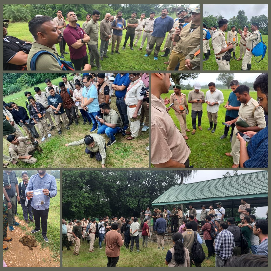 ntca_india's tweet photo. First session of Day 2 of the Training of Trainers workshop at @PenchMP for #AITE6 featured a field exercise on Phase I & III data collection. Participants practiced using @MSTrIPES mobile application to record tiger signs via sign surveys and estimate prey density through line transects. The NTCA Tiger Cell @wii_india  team demonstrated deployment of camera traps for monitoring tigers & leopards, along with genetic data collection using scat and pellet samples. A hands-on, knowledge-rich session ensuring scientific rigor in the estimation process.

#AITE6 #NTCA #Tigers #wildlife #ProjectTiger