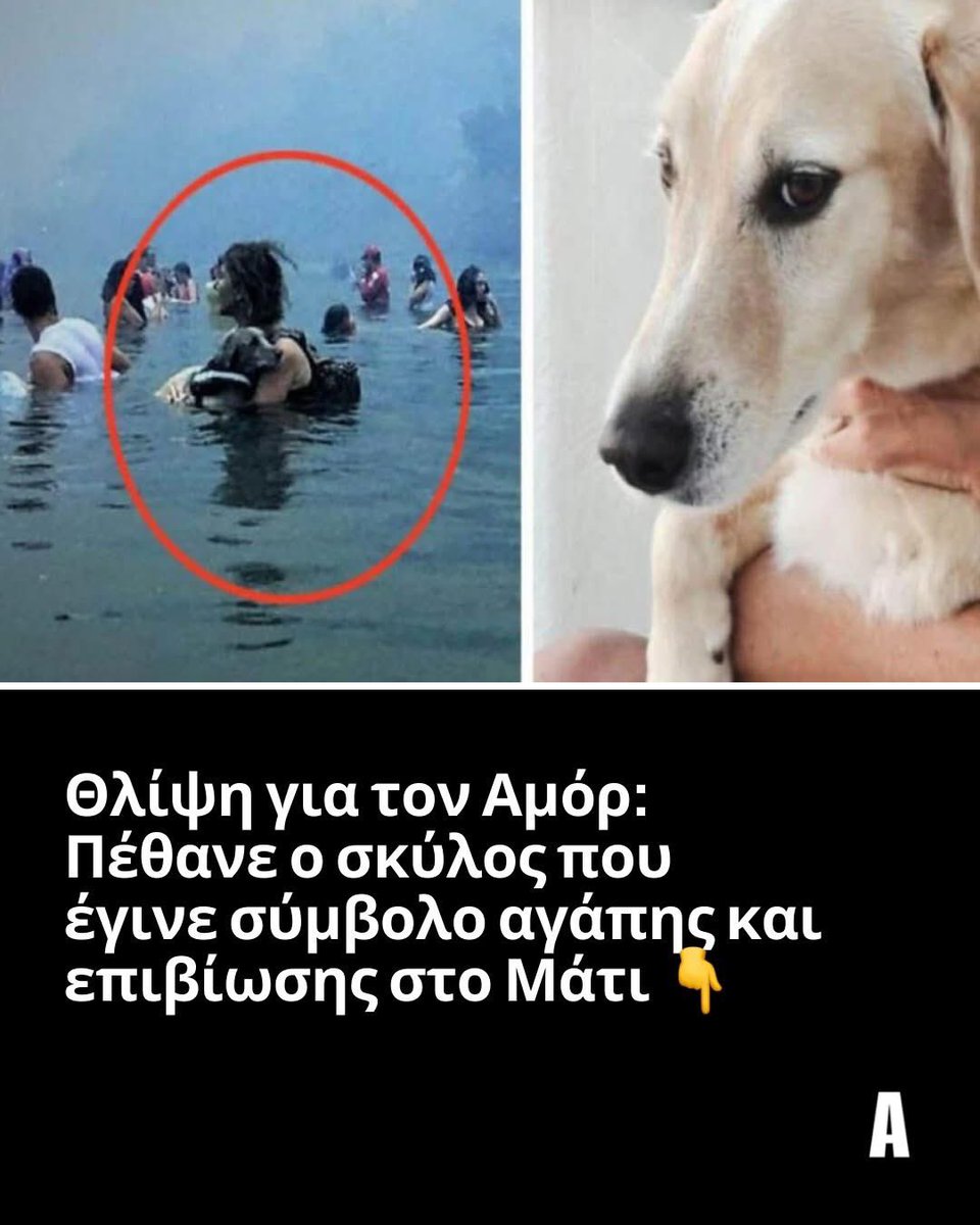 Καλό του ταξίδι🙏🥲