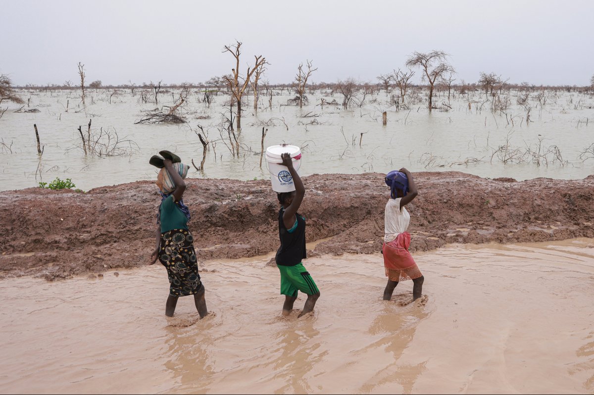 Sudán del Sur vive una de las mayores crisis de desplazamiento en África:
➡️ 2,4 M de refugiados
➡️ 2 M desplazados internos
➡️ 589.000 refugiados acogidos

ACNUR brinda ayuda vital con refugio, agua y apoyo a comunidades afectadas.

f.mtr.cool/codkspnmbo