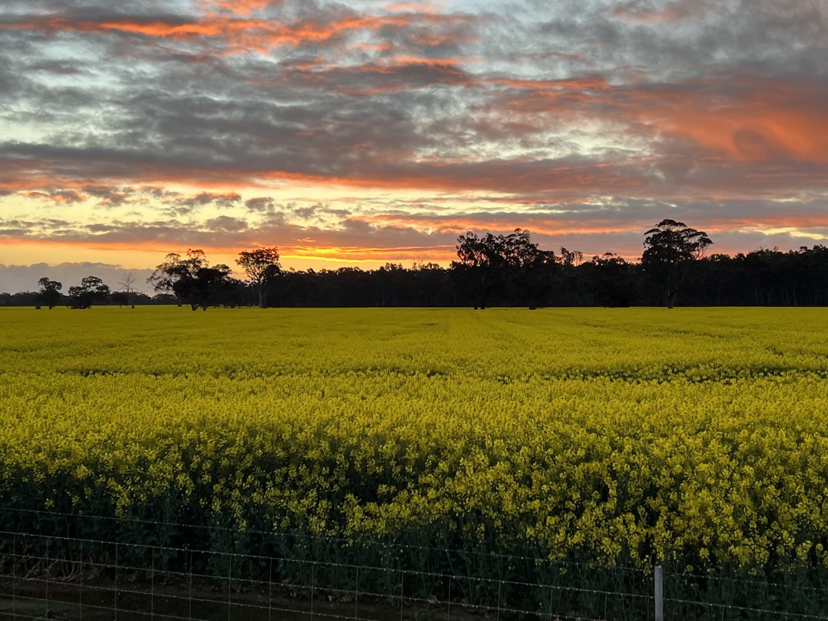 John Bennett tweet media