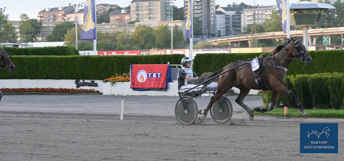 Första Solvallasegern för Elias

I fredags på Solvalla kördes den andra deltävlingen i Östsvenska Amatörserien. 28-årige Elias Carlsson vann loppet med Stefan Dahl-tränade Muscle Morique. Detta efter en elegant styrning av Elias!
Läs mer på: mantorphastsportarena.se/nyheter/foerst…