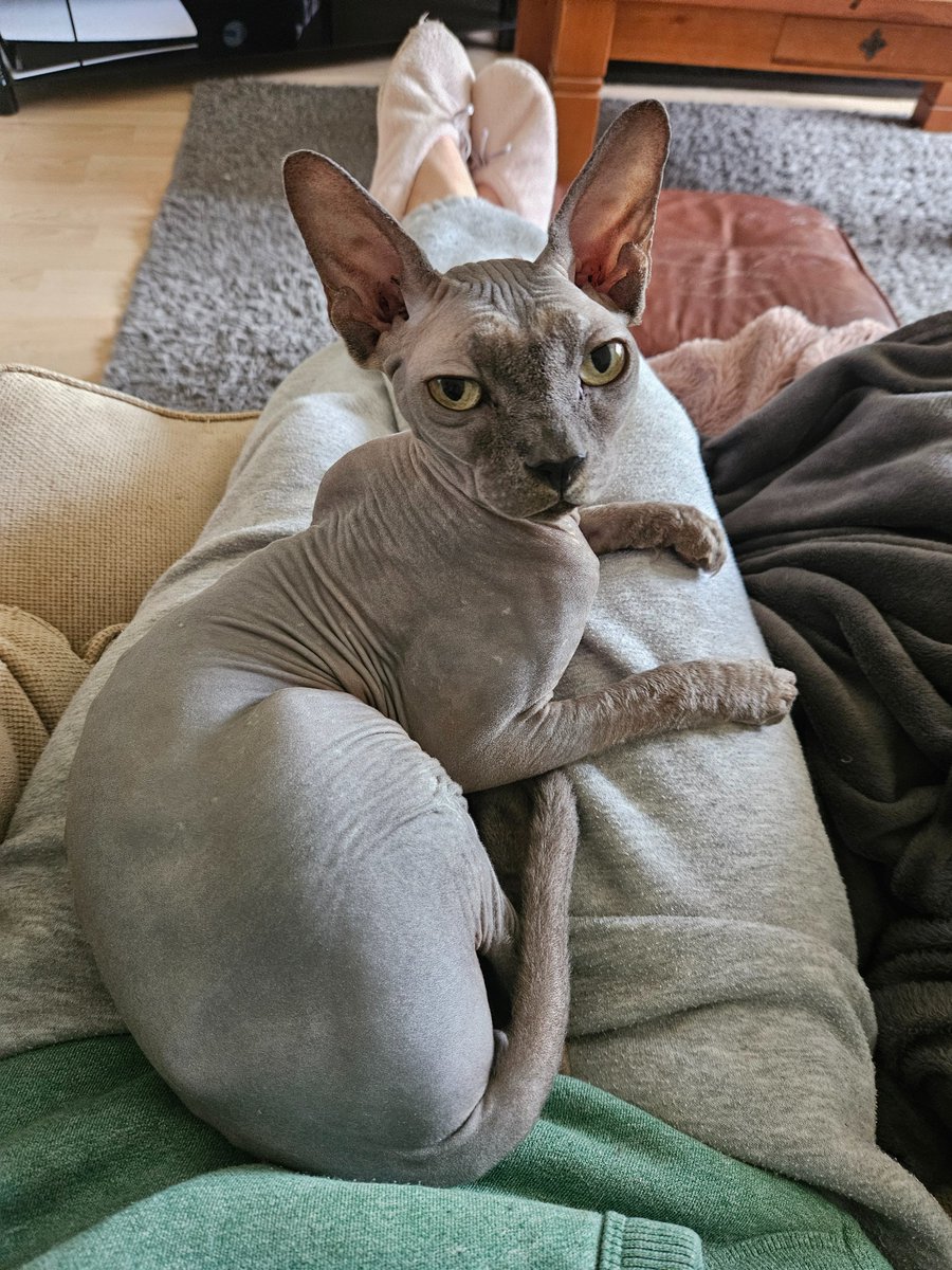 Jessica Masterson tweet media