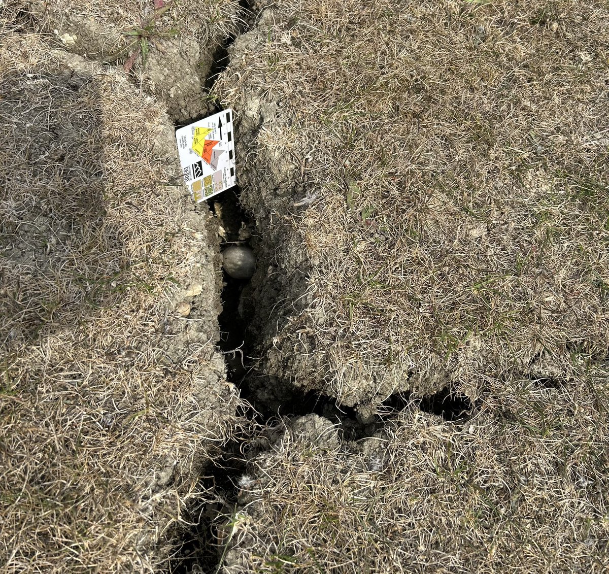 Annette Lokier tweet media