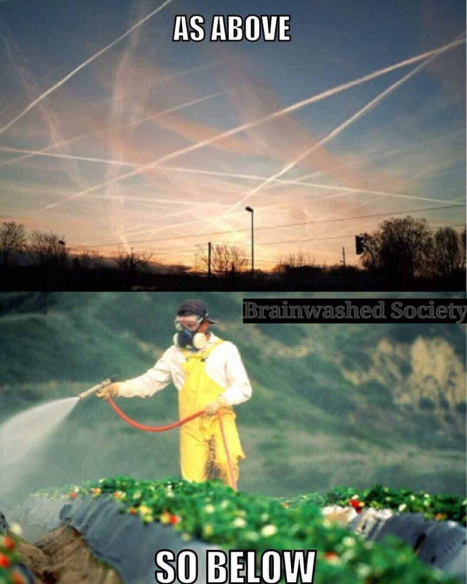 redpillbot (@redpillb0t) on Twitter photo 