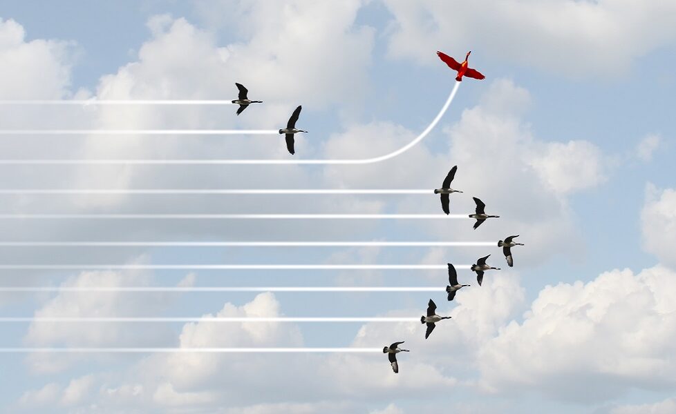 People Development (@peopledevelop1) on Twitter photo The skills needed to be an autonomous team can not be learned by attending a course or reading a book; here's why
5 Critical Skills for Autonomous Teams: bit.ly/3UsYBEW <a href="/funficient/">Kate Dames</a>
#autonomy #teamworking #teambuilding #skills #learning #development The skills needed to be an autonomous team can not be learned by attending a course or reading a book; here's why
5 Critical Skills for Autonomous Teams: bit.ly/3UsYBEW <a href="/funficient/">Kate Dames</a>
#autonomy #teamworking #teambuilding #skills #learning #development