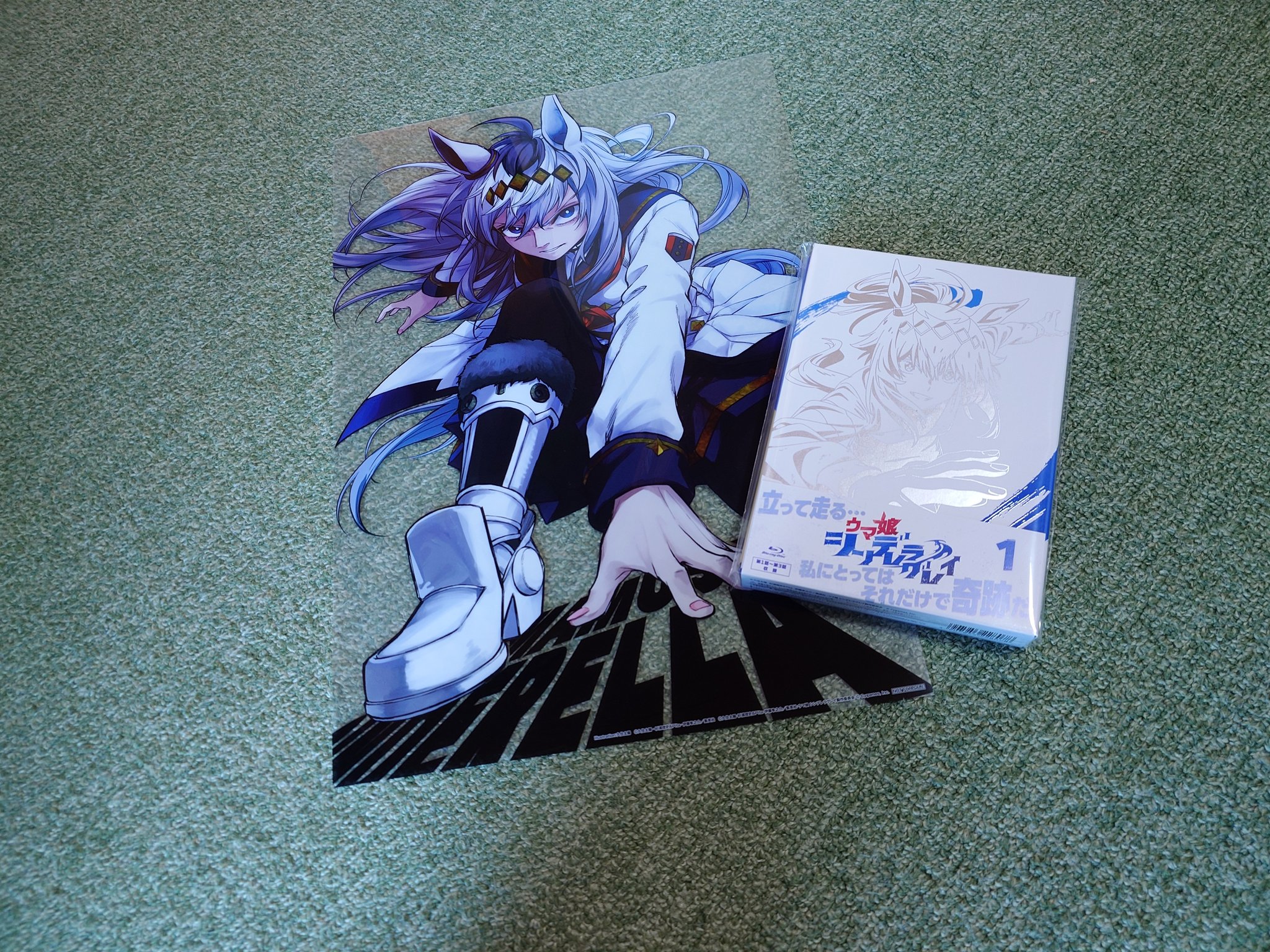 クマ♡ TCC コンティニュイティホールディングス continuity holdings