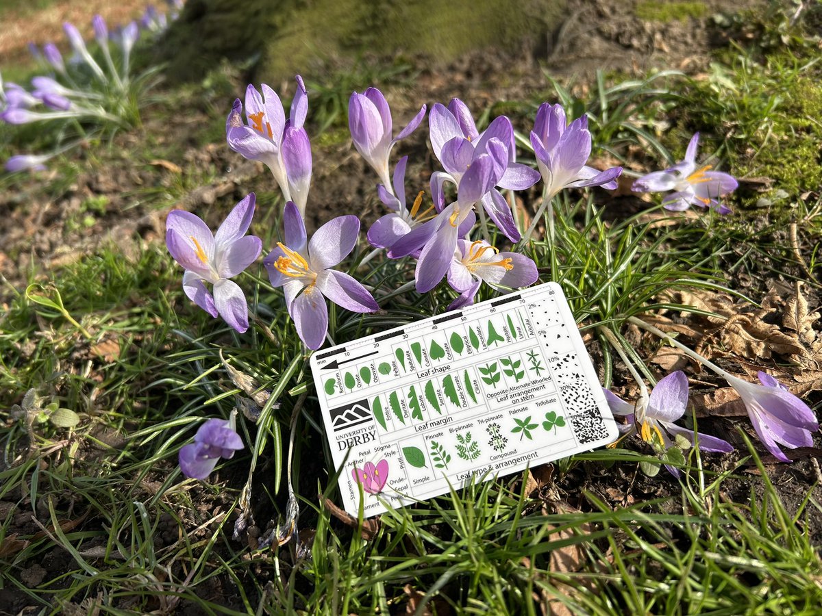 Annette Lokier tweet media