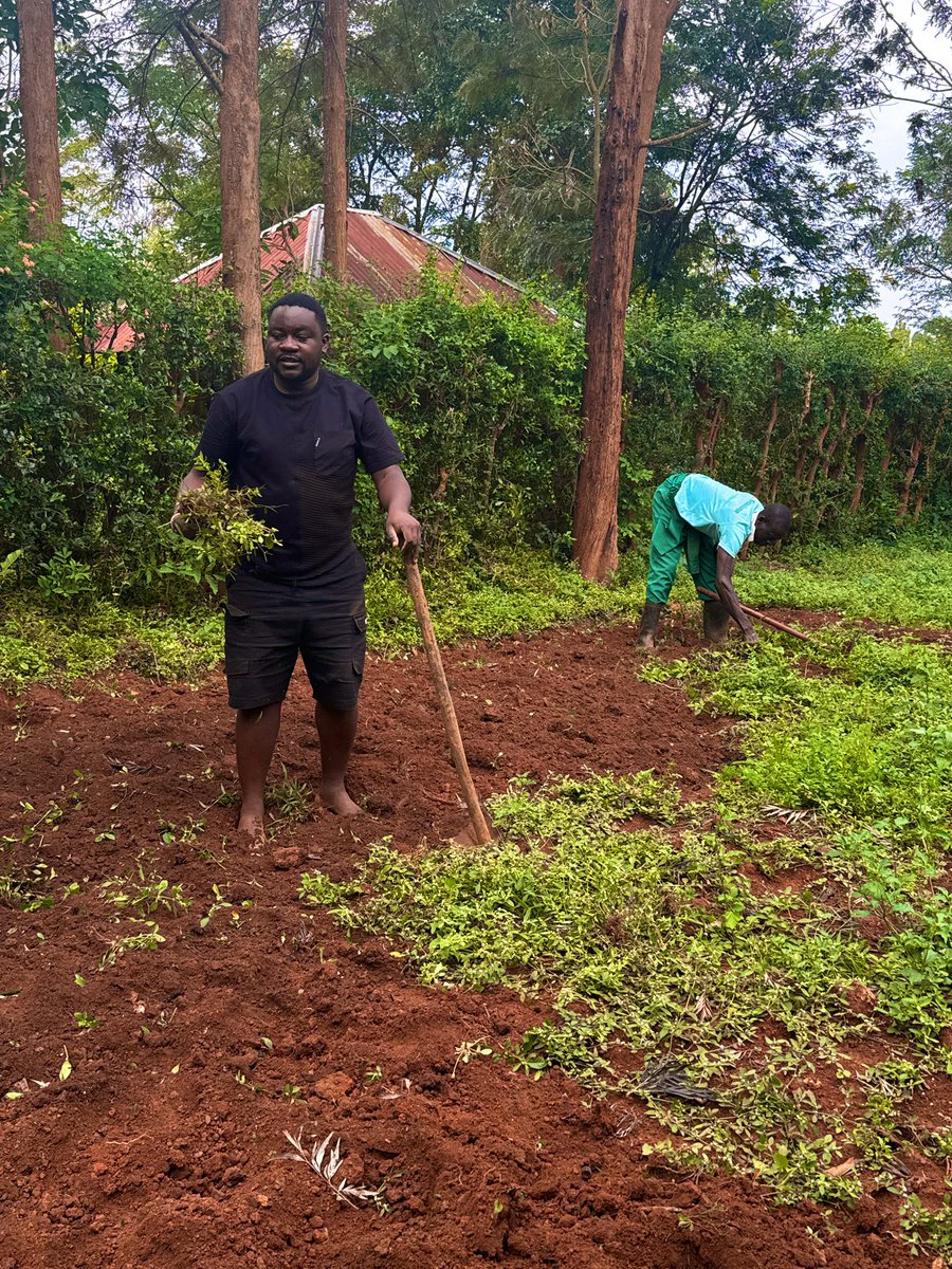 MALOBA ALBERT tweet media