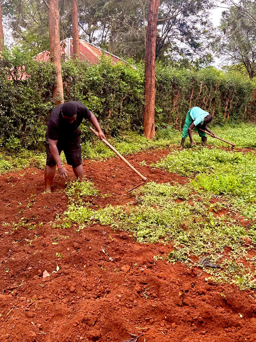 MALOBA ALBERT tweet media