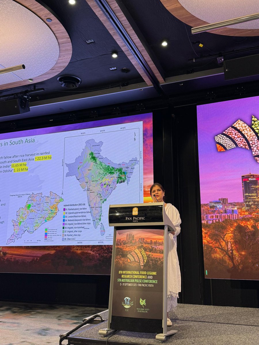 grasspeanet's tweet image. At #IFLRC2025 Perth, Dr. Smita Kaul Sharma @ICARDA shared insights on sustainable rice–fallow management with legumes #Grasspea 🫛🌱enhancing productivity &amp;amp; farmer income. Thanks to the #FernanadLambainFund for full sponsorship!