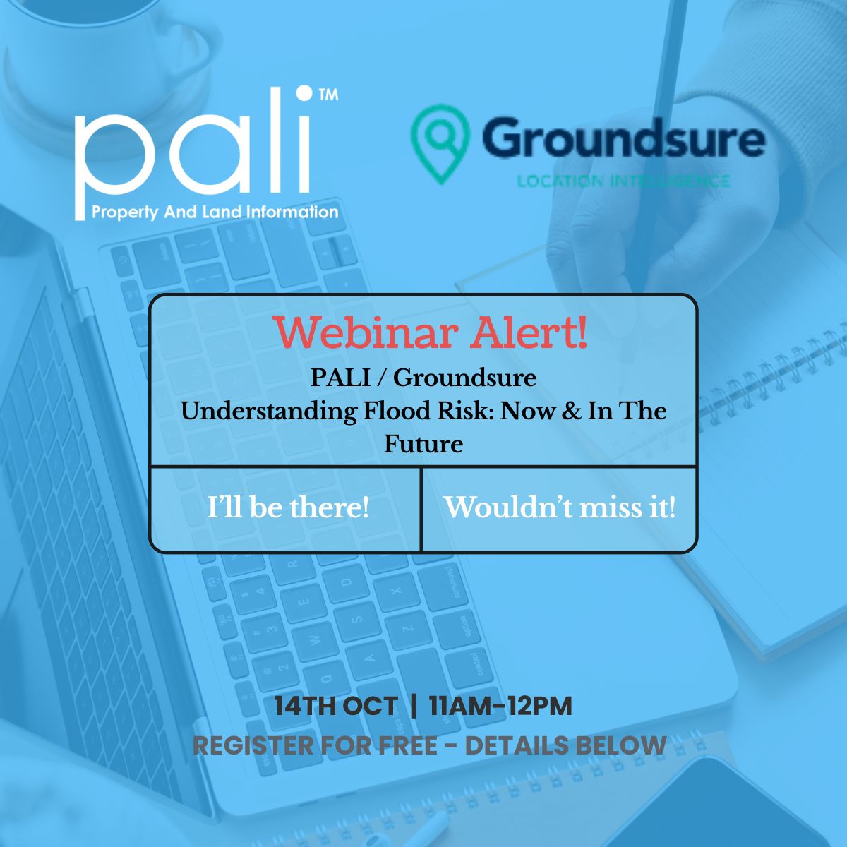 Pali Ltd tweet media