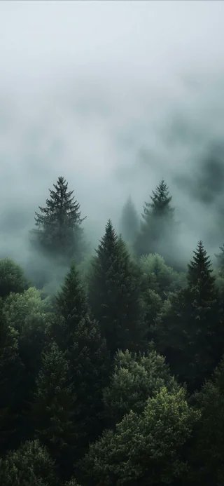 TenorshareD's tweet photo. Neue iOS 26 Wallpapers
#iOS26 #Wallpapers4k https://t.co/iy5bFfgDa3