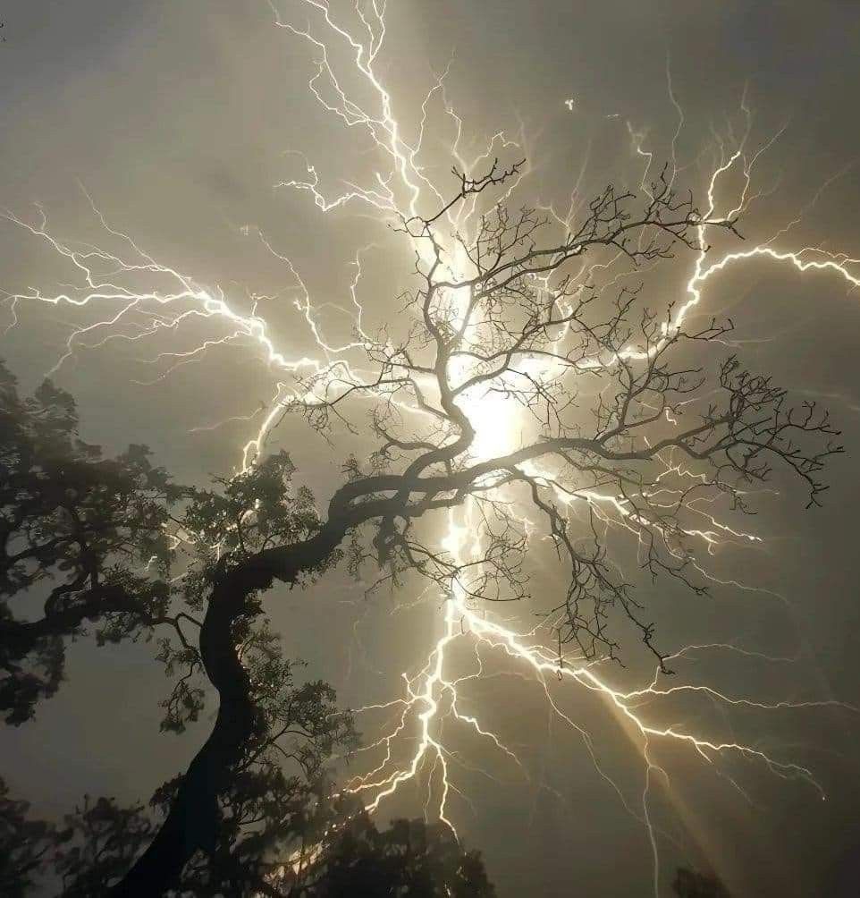 tez4d's tweet image. When the Maruts ride, the sky itself becomes a war drum.