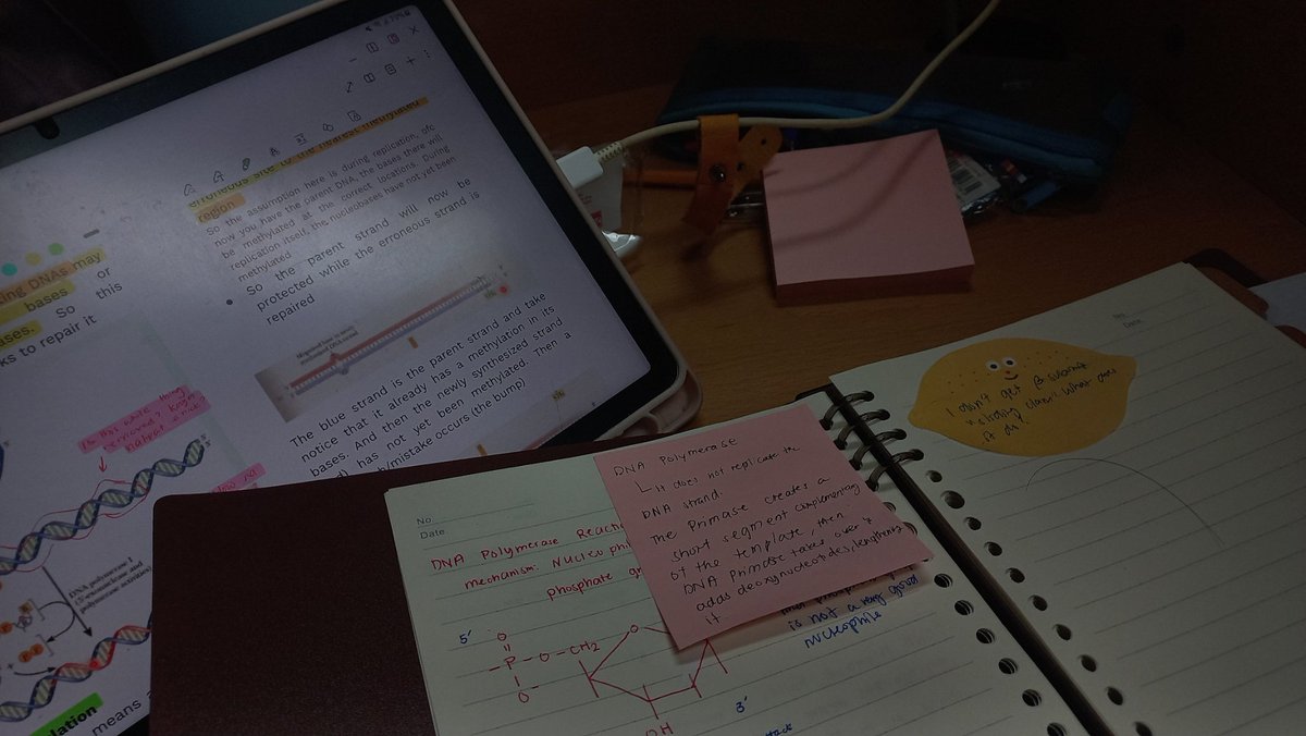 maekstudies's tweet photo. my week so far (*ᴗ͈ˬᴗ͈)ꕤ*. 

i'm so tired lately, how are y'all doing? ◝(ᵔᵕᵔ)◜

#studytwt https://t.co/ZOwz53CoaI