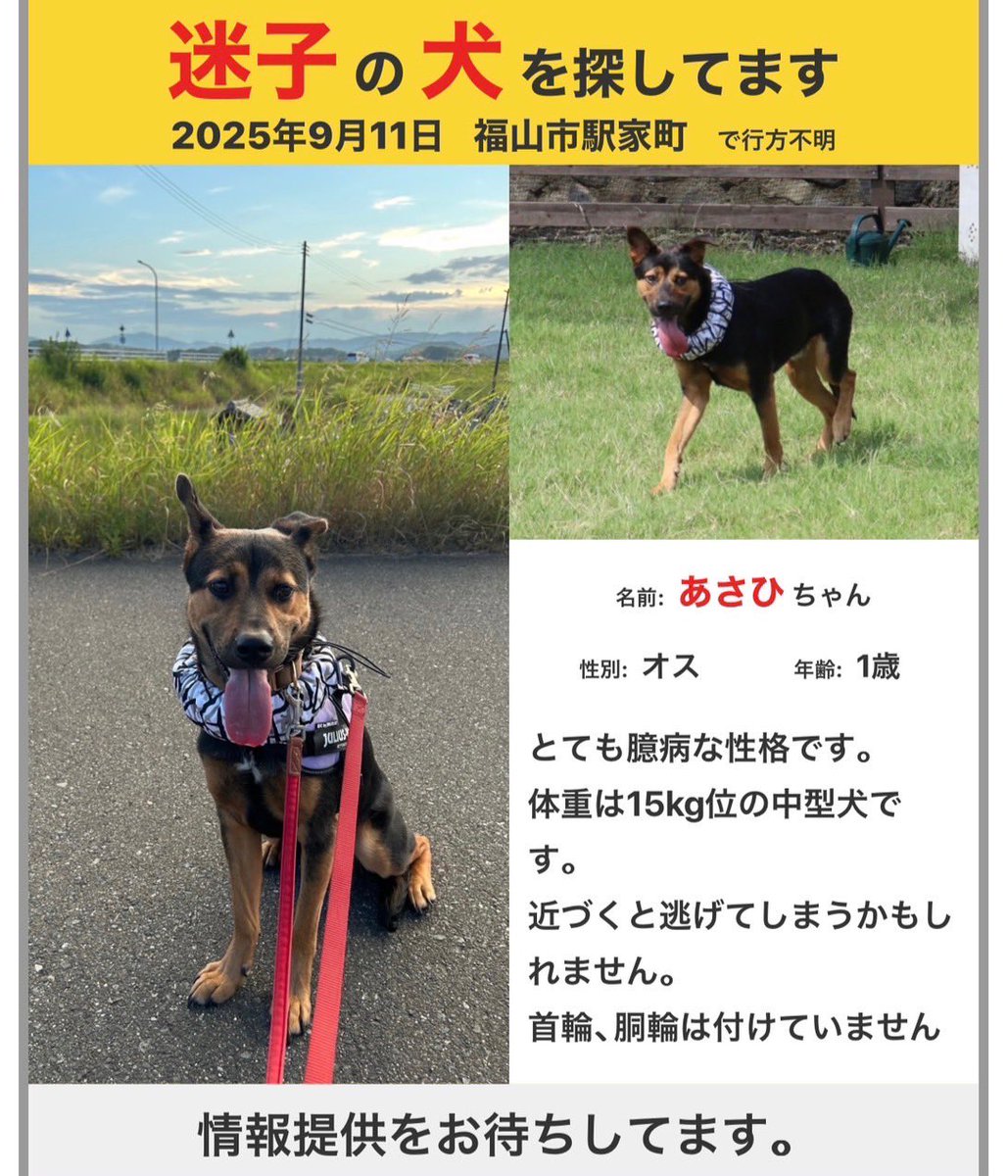 jun_micha's tweet image. 本日無事保護する事が出来ました！
ご協力頂き本当にありがとうございました🙇‍♀️ ̖́-