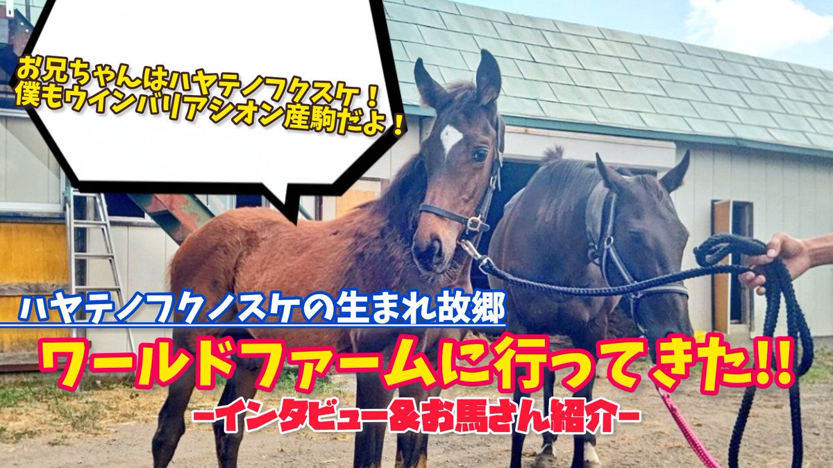 うまさん 痛車 痛単車 カスタムバイク紹介 秋葉原UDX駐車場ブログ: 秋葉原