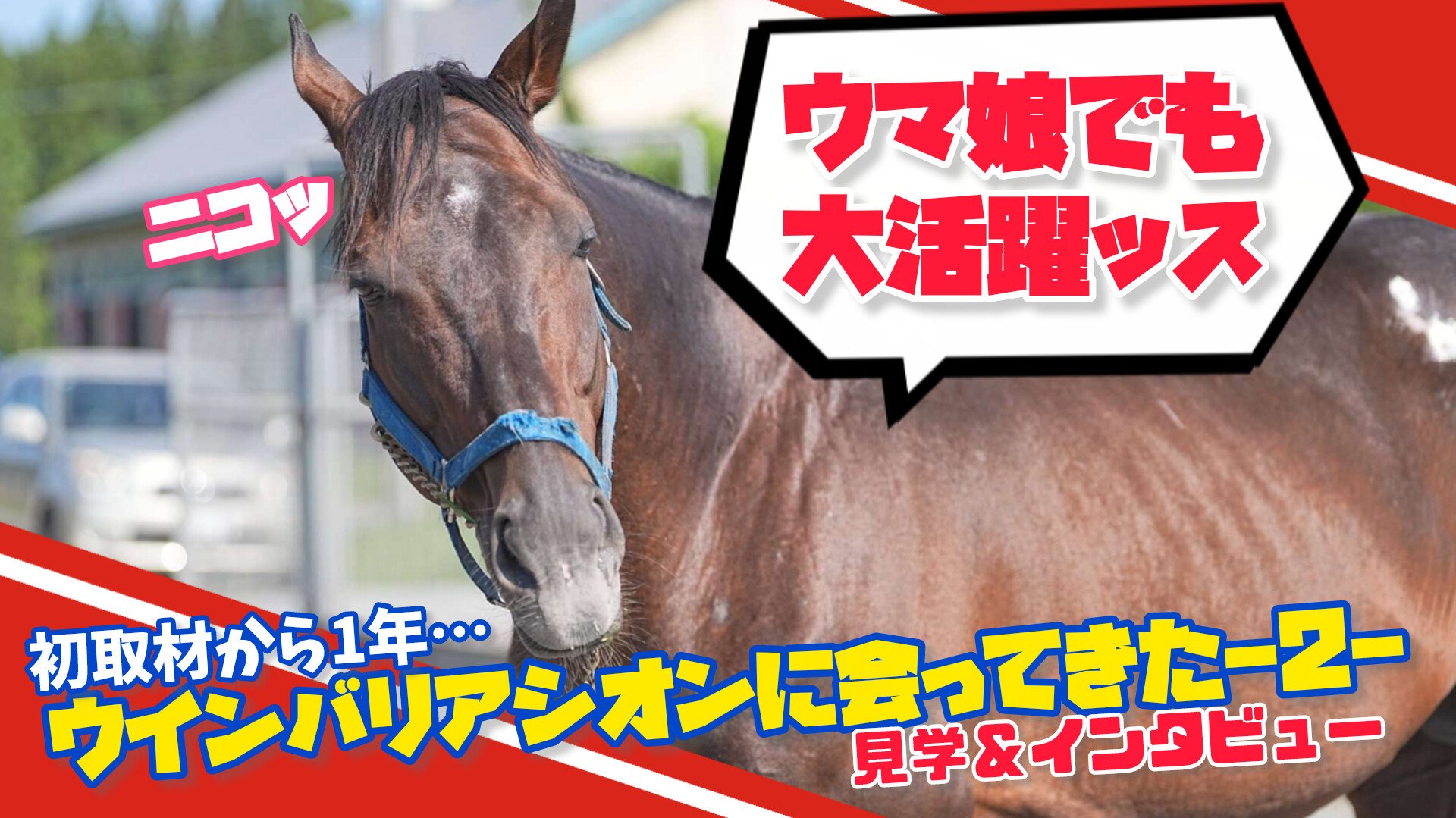 うまさん アニメトランスやウッーウッーウマウマ(゜∀゜)でおなじみのEXIT