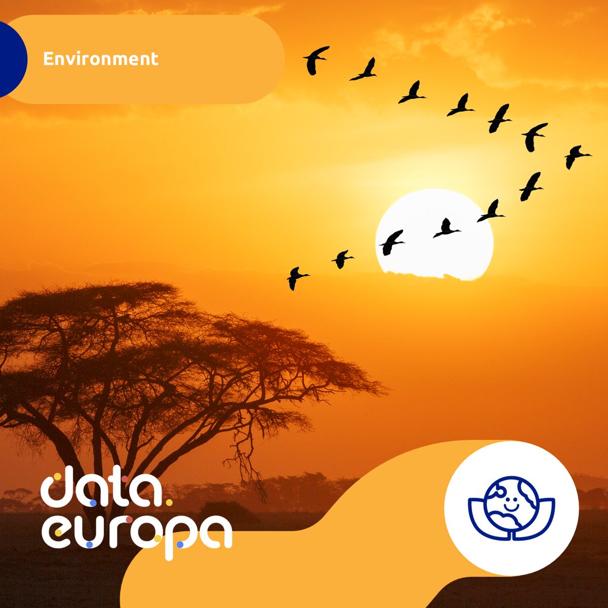 EU_opendata's tweet image. 🕊️ Ever wondered how birds navigate thousands of kilometers across continents?

Open data helps us track and understand these journeys. See how data supports conservation, research, and policy by studying bird migration routes!

Read more 👉 europa.eu/!krCHTR

#EUOpenData