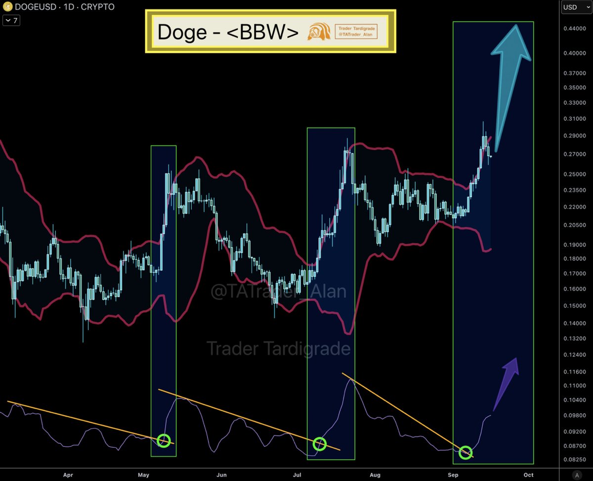 Doge/daily #Dogecoin Bollinger Band Width (BBW) indicates a breakout and  continuation of the uptrend. The expanding Bollinger bands, with the price  pushing the upper band, demonstrate strong momentum.