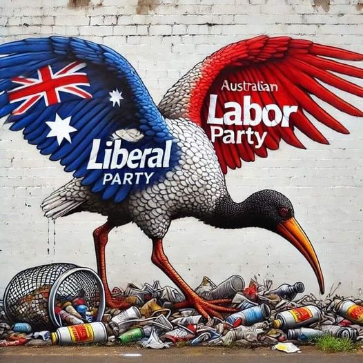 actualAlexJames's tweet photo. Two wings, same bin chicken. https://t.co/UWV2dbmH39