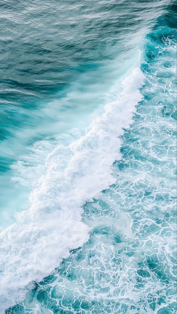 새롭게 (@srgin01ms001002) on Twitter photo 