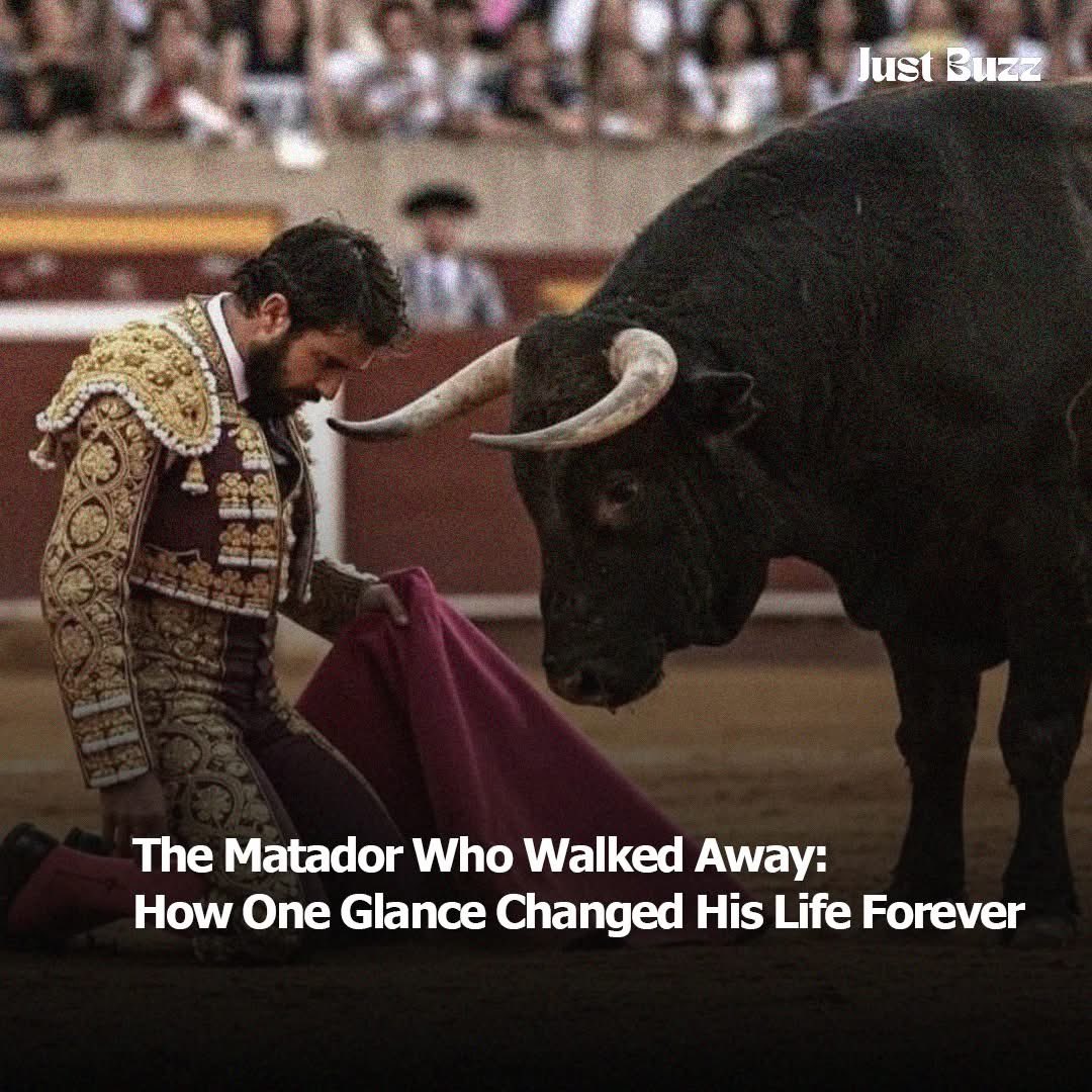 Bull fighting is basically paying to see an innocent animal be tortured to death. It’s the epitome of cruelty and the fact that people pay to watch it, is extremely disturbing and sad. This cruel tradition needs to stop. Really hope PETA win the fight to stop this. <a href="/PETANederland/">PETA Nederland - Campagne tegen dierproeven</a>